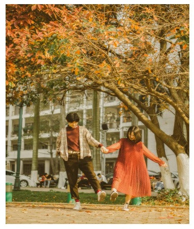 Lãng mạn mùa cây thay lá sân trường Hà Nội