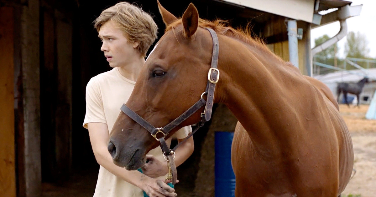 Dựa vào Pete và không ngừng chạy!