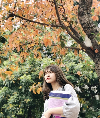 Lãng mạn mùa cây thay lá sân trường Hà Nội