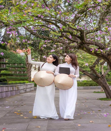 Tháng Hai, hoa ban, Hà Nội