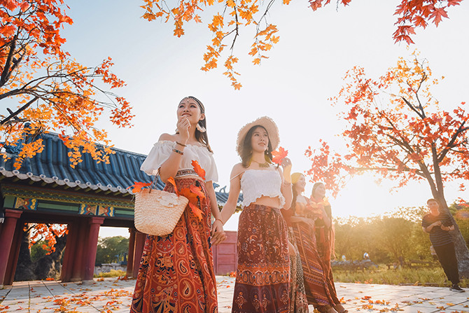 Hàng cây phong lá đỏ lãng mạn xuất hiện tại Hà Nội