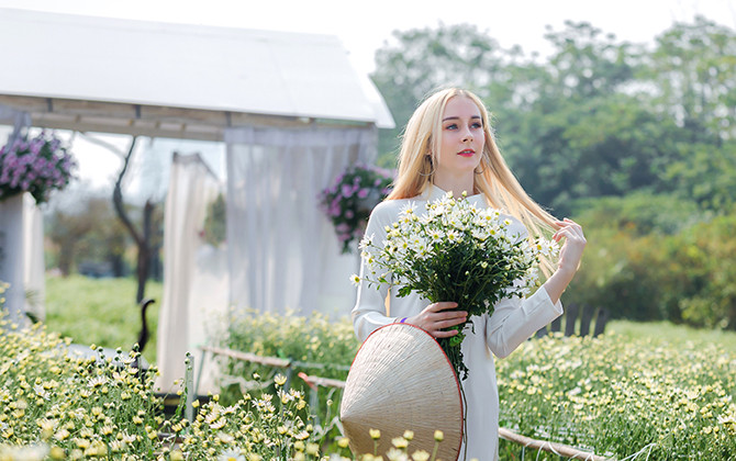 Thảo nguyên hoa đón bạn trẻ nước ngoài ngắm cúc hoạ mi