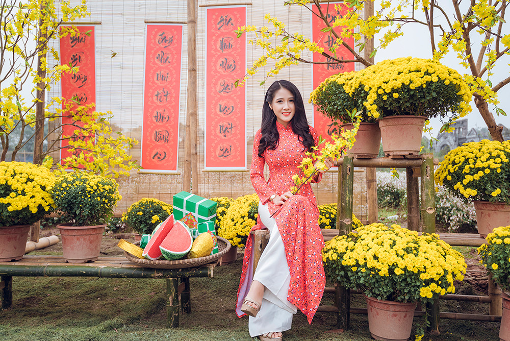 Ngất ngây cánh đồng Cúc mâm xôi giữa Hà Nội