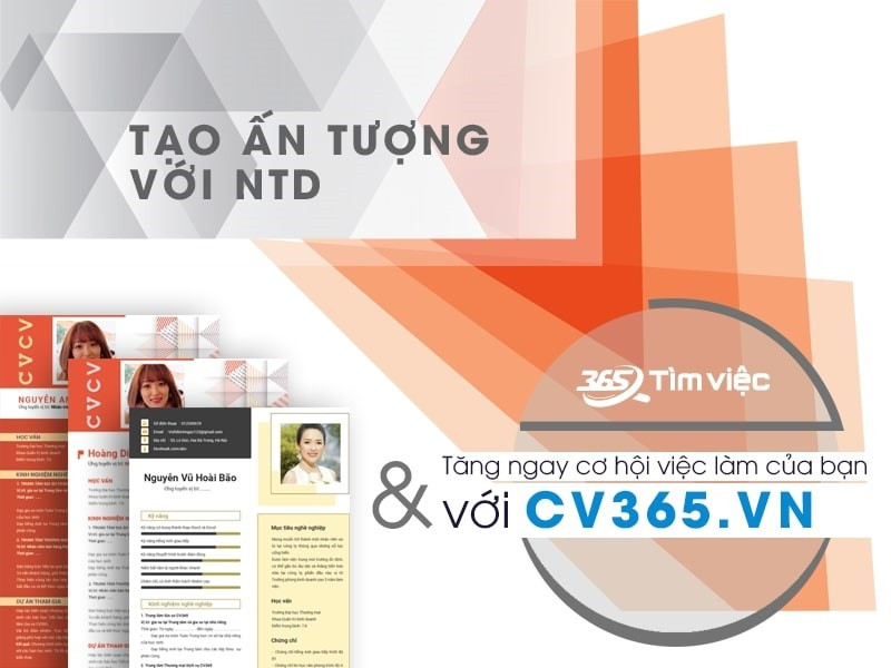 Timviec365.vn - Website tìm việc hiệu quả nhất