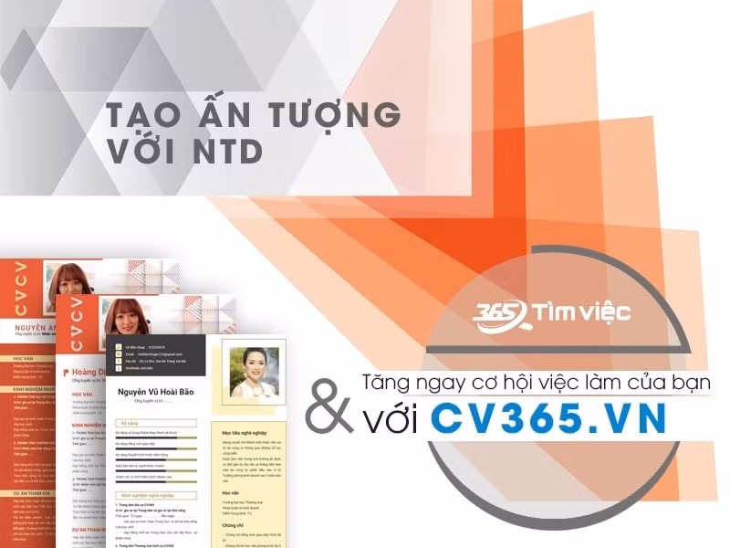 Timviec365.vn - Website tìm việc hiệu quả nhất