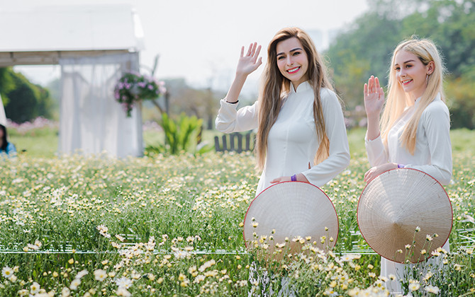 Thảo nguyên hoa đón bạn trẻ nước ngoài ngắm cúc hoạ mi