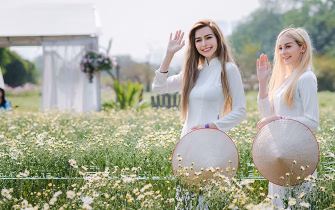 Thảo nguyên hoa đón bạn trẻ nước ngoài ngắm cúc hoạ mi