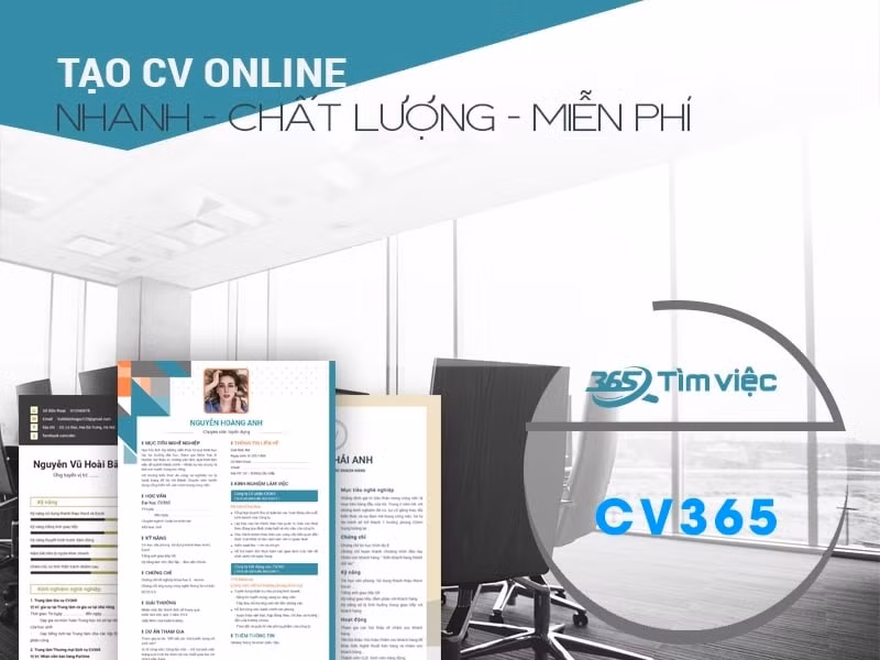Timviec365.vn - Website tìm việc hiệu quả nhất