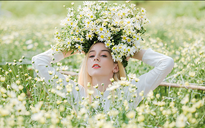 Thảo nguyên hoa đón bạn trẻ nước ngoài ngắm cúc hoạ mi