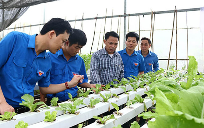 Câu lạc bộ Thanh niên, hỗ trợ, tư vấn cho thanh niên nông thôn lập nghiệp trên quê hương