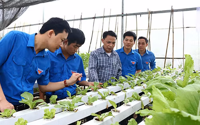 Câu lạc bộ Thanh niên, hỗ trợ, tư vấn cho thanh niên nông thôn lập nghiệp trên quê hương