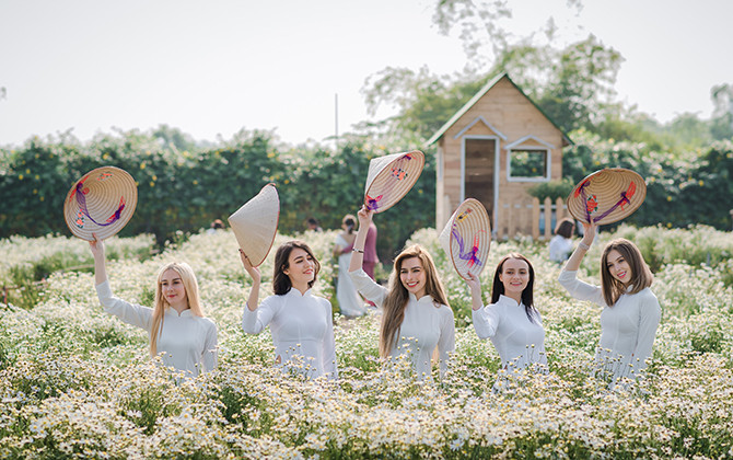 Thảo nguyên hoa đón bạn trẻ nước ngoài ngắm cúc hoạ mi