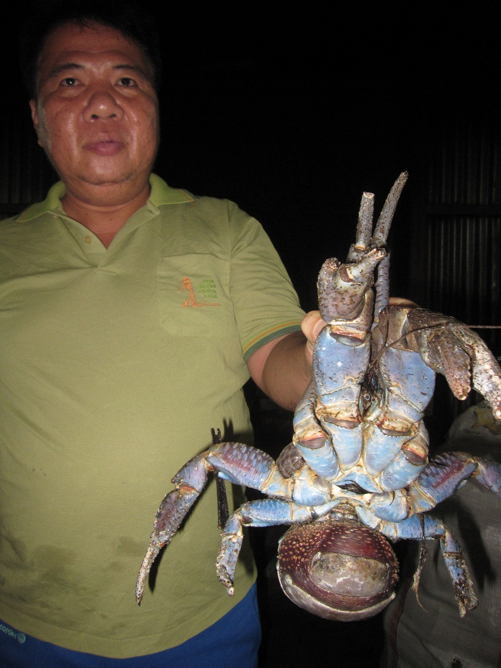 Có một nơi xa xôi tuyệt vời