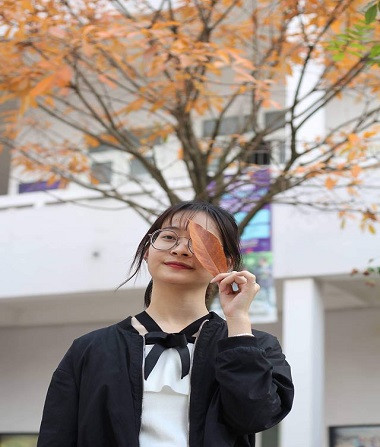 Lãng mạn mùa cây thay lá sân trường Hà Nội