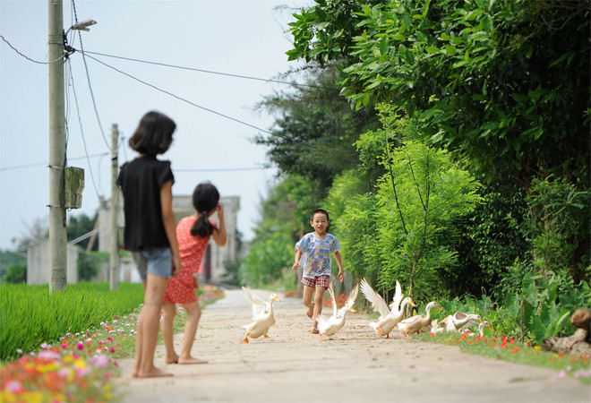 Đường hoa mười giờ cho giới trẻ check-in