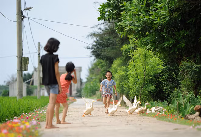 Đường hoa mười giờ cho giới trẻ check-in