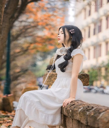 Lãng mạn mùa cây thay lá sân trường Hà Nội