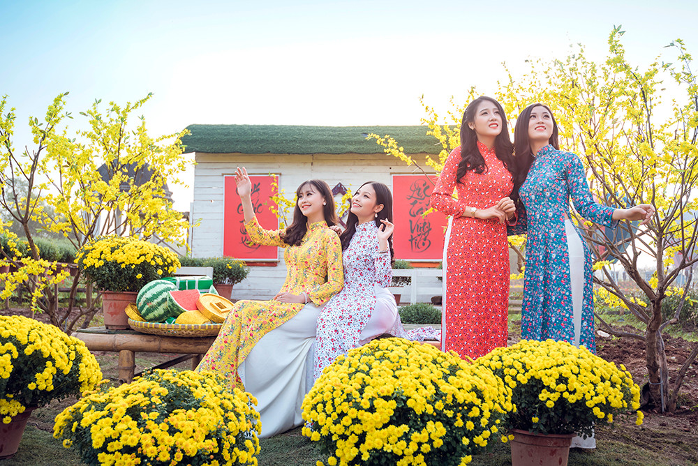 Ngất ngây cánh đồng Cúc mâm xôi giữa Hà Nội