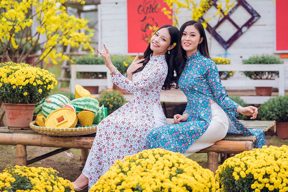 Ngất ngây cánh đồng Cúc mâm xôi giữa Hà Nội