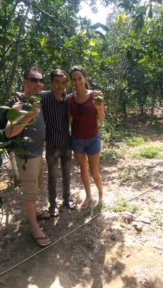 Bỏ phố về quê trồng cam sành