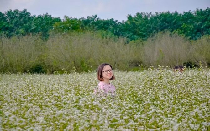 Bãi đá sông Hồng: Các loài hoa đua nhau khoe sắc đón đông về
