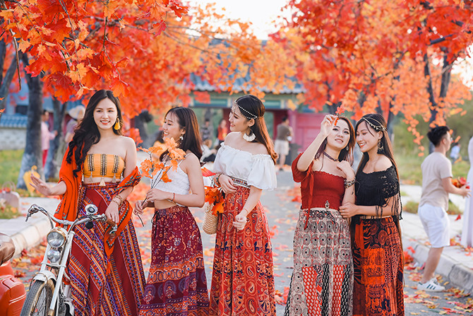 Hàng cây phong lá đỏ lãng mạn xuất hiện tại Hà Nội