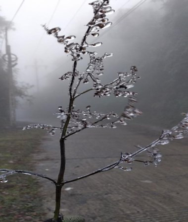 Lung linh băng tuyết trên đỉnh Mẫu Sơn