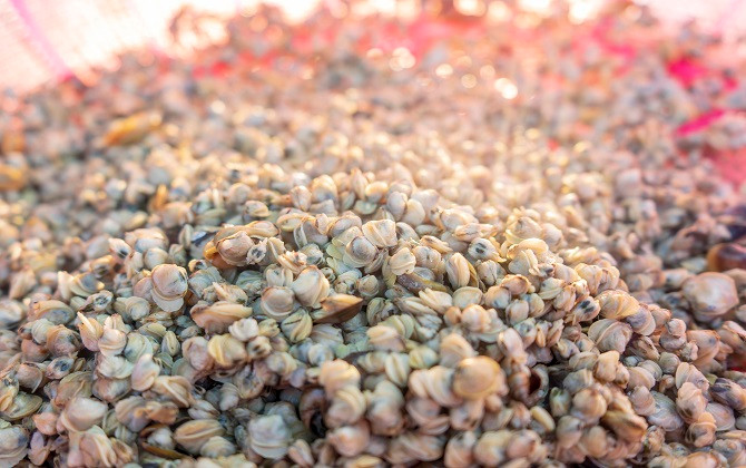 Một ngày neo đậu ngã ba sông…