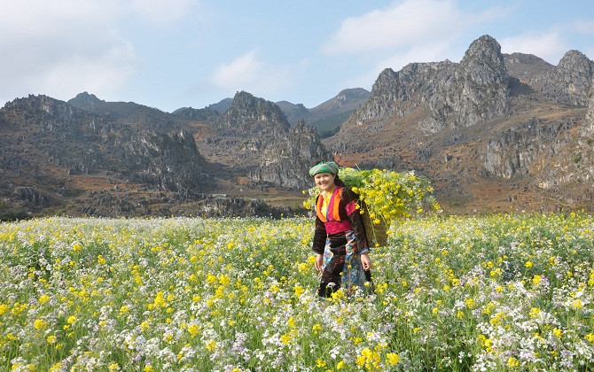 Sắc màu trên cao nguyên đá
