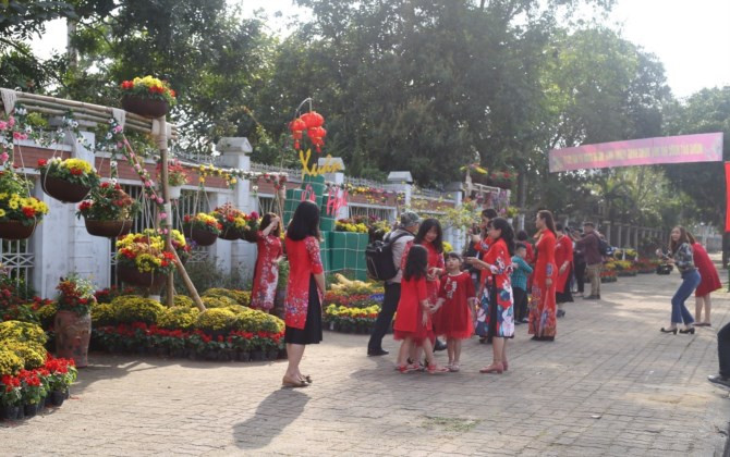 TP Vinh: Người dân nô nức đổ ra cung đường hoa 2,5 tỷ