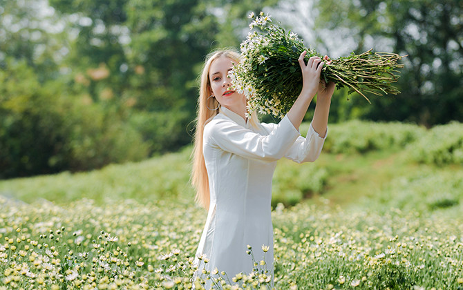 Thảo nguyên hoa đón bạn trẻ nước ngoài ngắm cúc hoạ mi