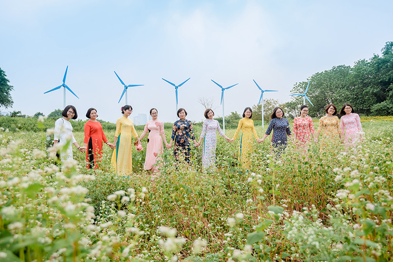 Vườn hoa Tam giác mạch trái mùa ngay tại Hà Nội