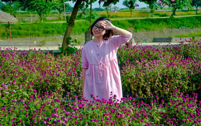 Bãi đá sông Hồng: Các loài hoa đua nhau khoe sắc đón đông về