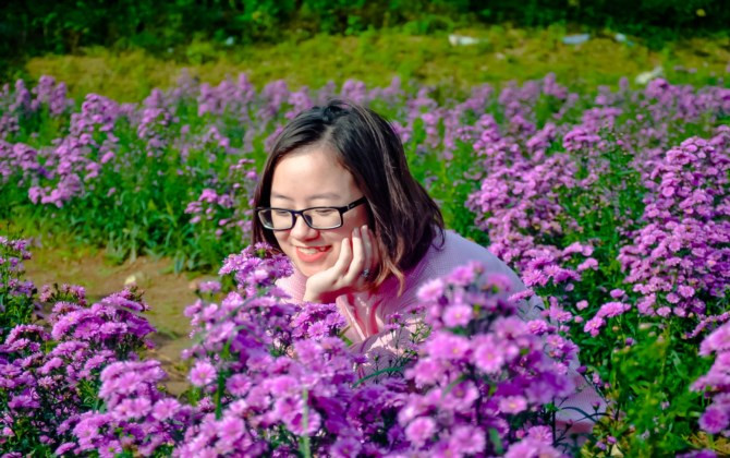 Bãi đá sông Hồng: Các loài hoa đua nhau khoe sắc đón đông về