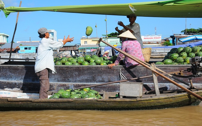 Một lần trải nghiệm miệt vườn sông nước Cần Thơ