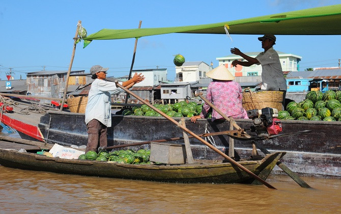 Một lần trải nghiệm miệt vườn sông nước Cần Thơ