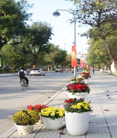 TP Vinh: Người dân nô nức đổ ra cung đường hoa 2,5 tỷ