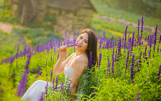 Giới trẻ chết mê với cánh đồng hoa Nữ hoàng xanh tại Hà Nội