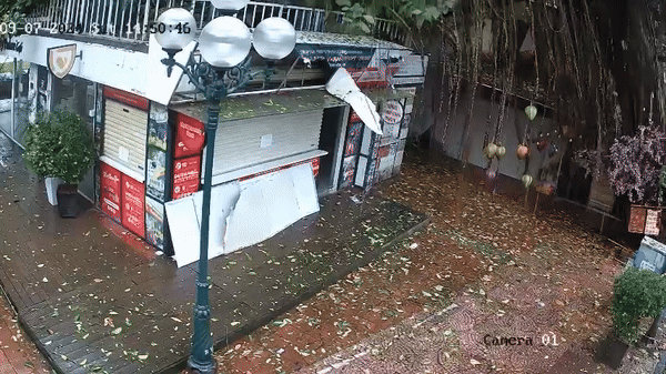 Cây đa phía sau đền Bà Kiệu (mặt phố Lò Sũ) đã bị bật gốc, gây thiệt hại đến công trình phụ trợ xung quanh. Cây đa phía sau đền Bà Kiệu (mặt phố Lò Sũ) đã bị bật gốc, gây thiệt hại đến công trình phụ trợ xung quanh.