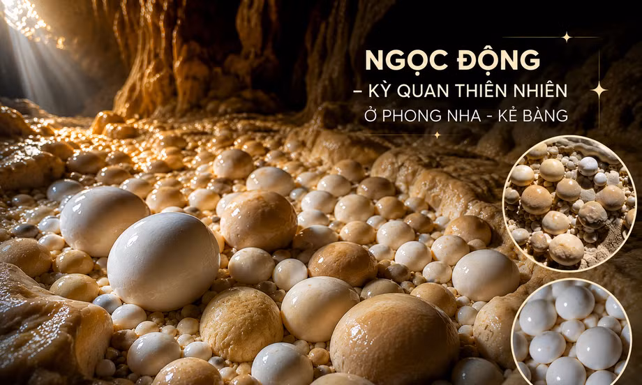 TP NOW: Hàng trăm ‘quả trứng’ bí ẩn nằm sâu trong hang động Phong Nha là gì?