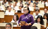 Đại biểu Quốc hội: 'Phân quyền nhưng không buông quyền kiểm soát'