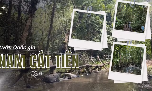 Loạt tọa độ sống ảo "đỉnh chóp" ở Vườn Quốc gia Nam Cát Tiên khiến teen mê mẩn