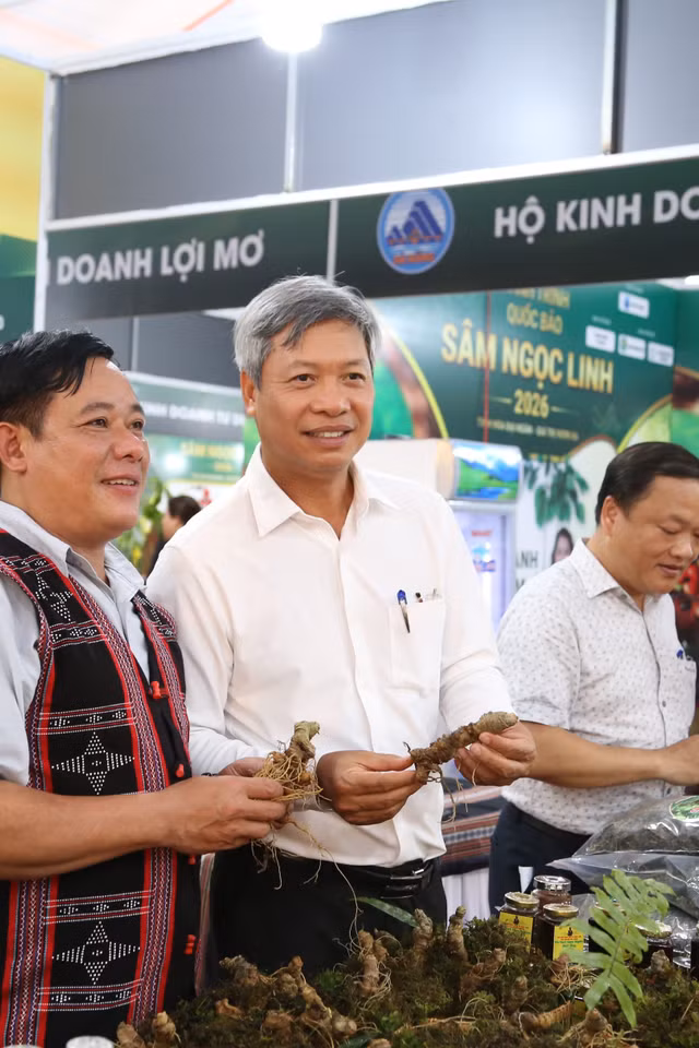 “Vua sâm” Nguyễn Văn Lượng (bên trái) giới thiệu sản phẩm Sâm Ngọc Linh của HTX với Phó Chủ tịch UBND TP Đà Nẵng Hồ Quang Bửu Ảnh: Giang Thanh 