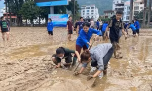 GS.TS Nguyễn Tiến Dũng: 'Cẩn thận với những mầm bệnh mỗi mùa bão qua'