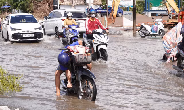 Cà Mau vận hành hơn 300 cống, đập ứng phó triều cường có thể vượt báo động 3