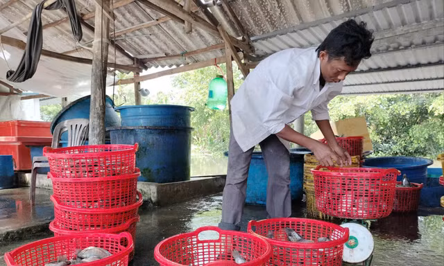 Cà Mau: Đời sống vùng đồng bào dân tộc thiểu số dần vươn lên thoát nghèo
