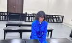 Lừa mang thai hộ, chiếm đoạt hơn 1 tỷ đồng của cặp đôi hiếm muộn 