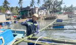 Ngư dân gia cố lại nhà bè chắc chắn chuẩn bị ra khơi.