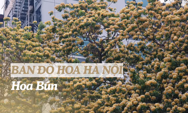 "Bản đồ" hoa tháng 4 Hà Nội: Hoa bún nở rộ, ngoài cây 300 tuổi còn góc check-in nào?