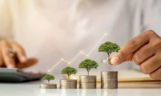 'Chướng ngại vật' nào đang cản trở tài chính xanh?